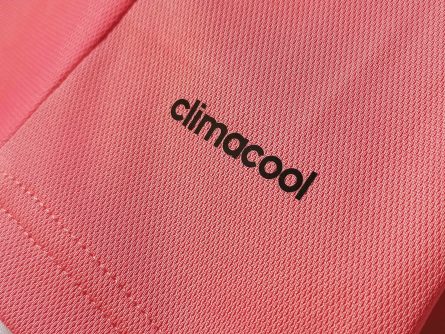 Long Sleeve Juventus Away 2015/2016 - Image 3