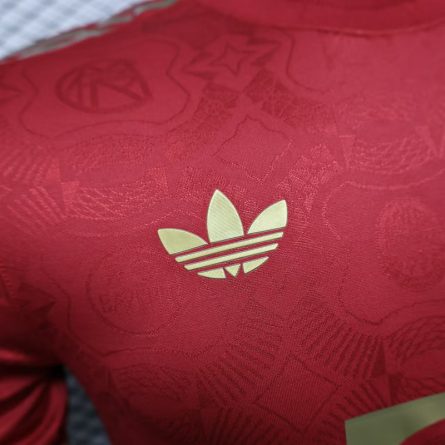 Player Version Bayern München 2025 125-Year Anniversary Kit - Image 2