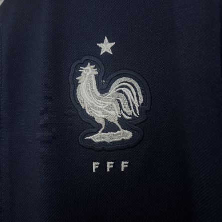 France Home Jersey 2014 - Image 2