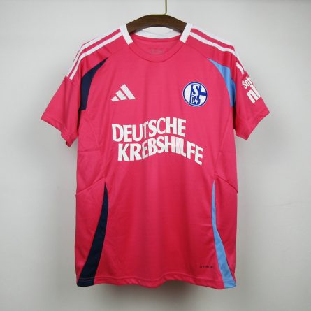 Special FC Schalke 04 German Cancer Aid Away Jersey