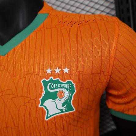 Player Version  Côte d'Ivoire Home Jersey 2025 - Image 3