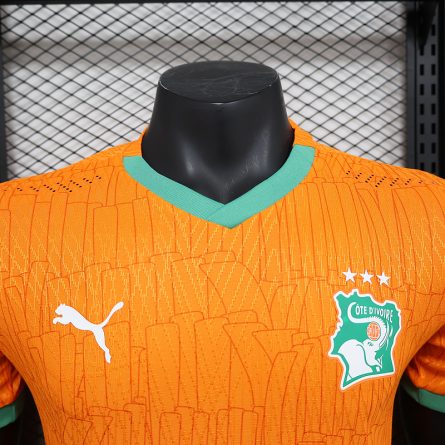 Player Version  Côte d'Ivoire Home Jersey 2025 - Image 2