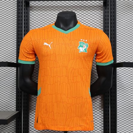 Player Version  Côte d'Ivoire Home Jersey 2025 - Image 1