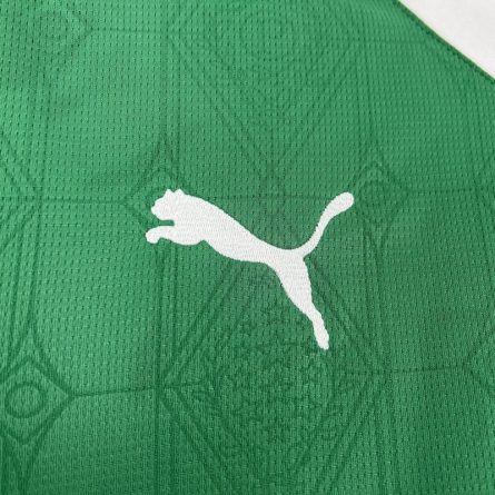 Palmeiras Home Jersey 2025 - Image 3