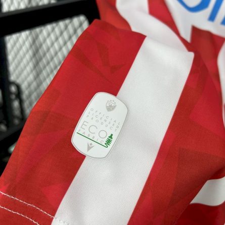 Crvena Zvezda (Red Star Belgrade) Home Jersey 2024-2025 - Image 3