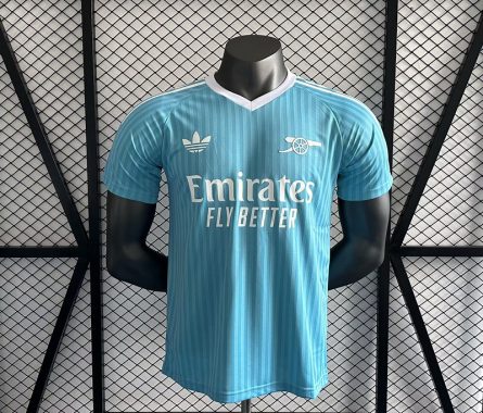 Player Version Arsenal Goalkeeper Light Blue Jersey 2024/2025 - Image 1