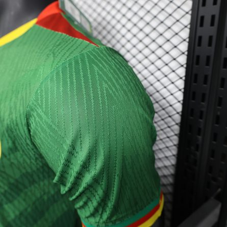 Player Version Cameroon Home Jersey 2025–2026 - Image 6